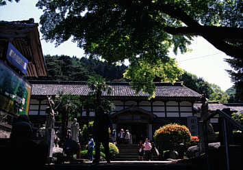 富山県朝日町護国寺のしゃくなげの写真